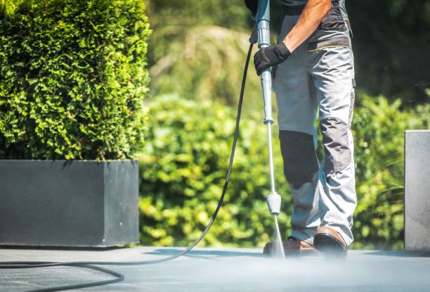 Best Sidewalk and Walkway Cleaning  in Castle Dale, UT
